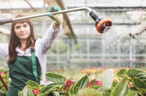 Woman watering plants in commercial garden nursery
