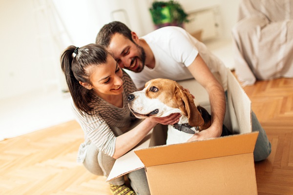 Couple moving with dog in box