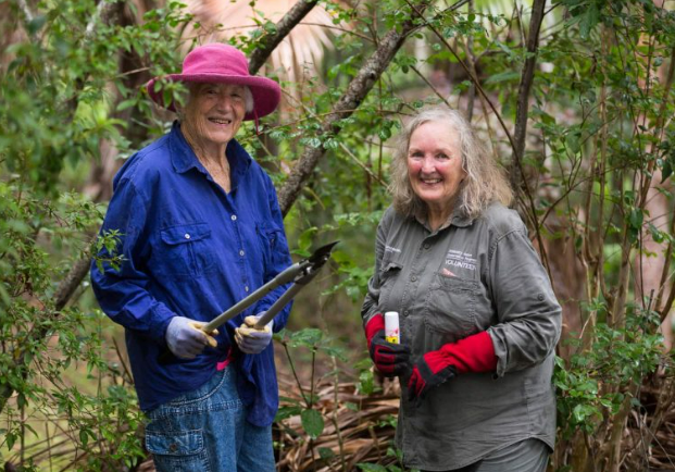 Hinterland Bush Links Roving Restorers