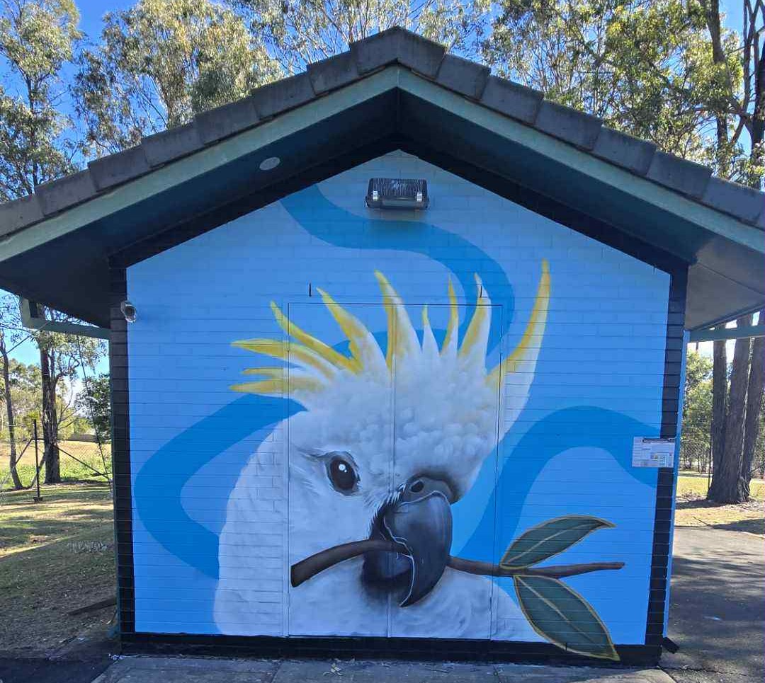 Bray Park - cockatoo