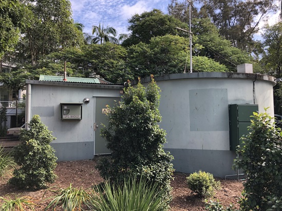 Noosa Hastings Street artwork