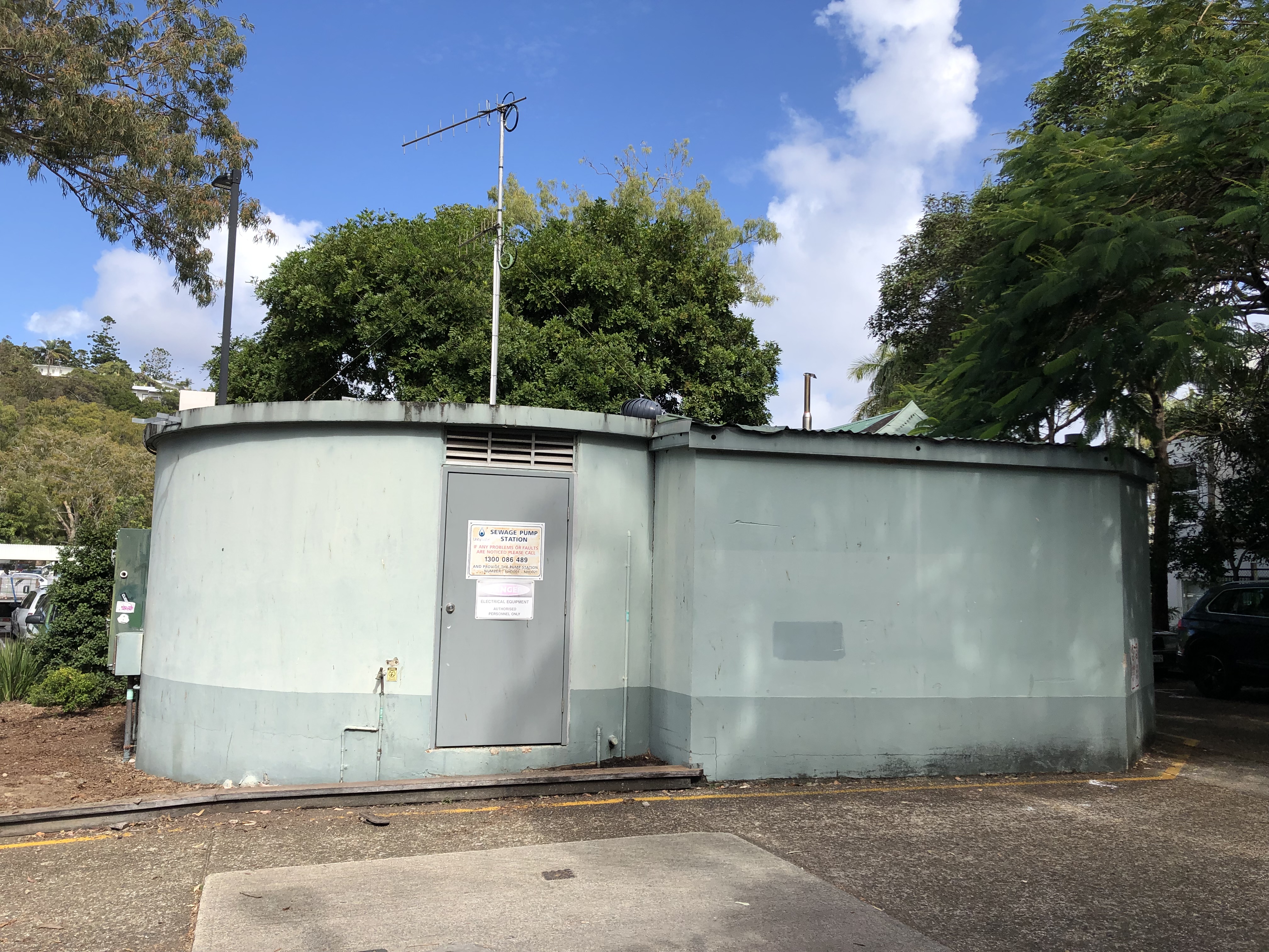 Noosa Hastings Street artwork