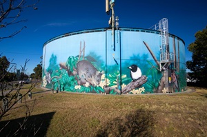 Ferny Hills Reservoir