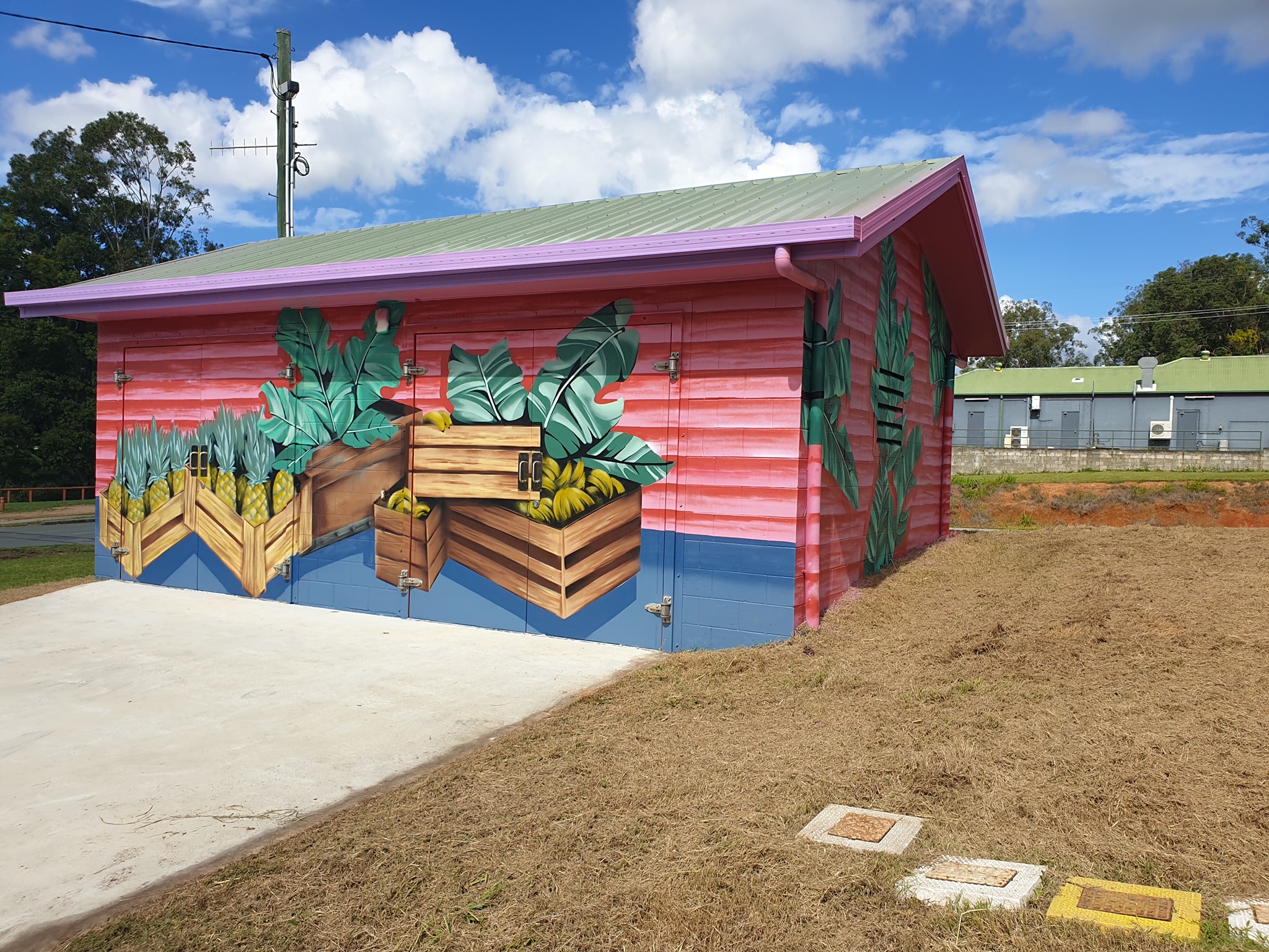 Wamuran PS