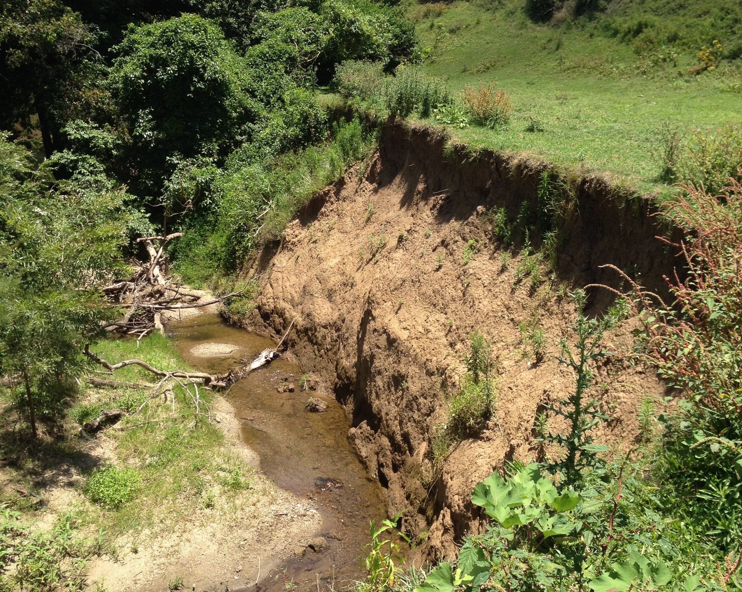 Caboolture river erosion