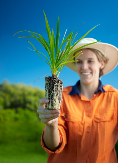 Natural environment and liveability grants