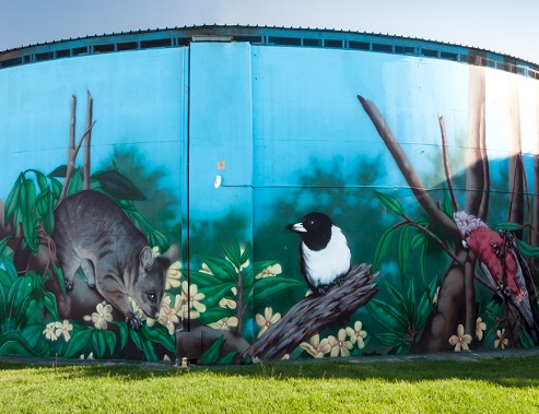 Ferny Hills reservoir mural