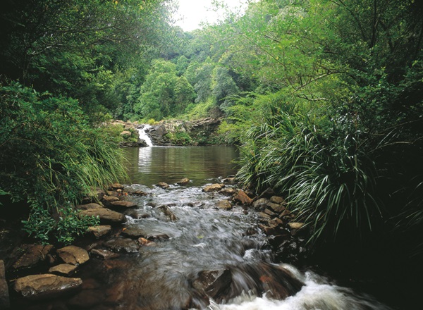 Gardners Falls, Maleny