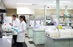 Male and female staff working in laboratory