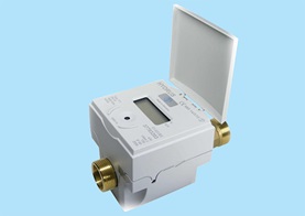 Digital water meter
