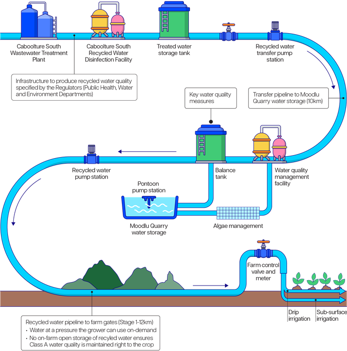 Wamuran process flow diagram
