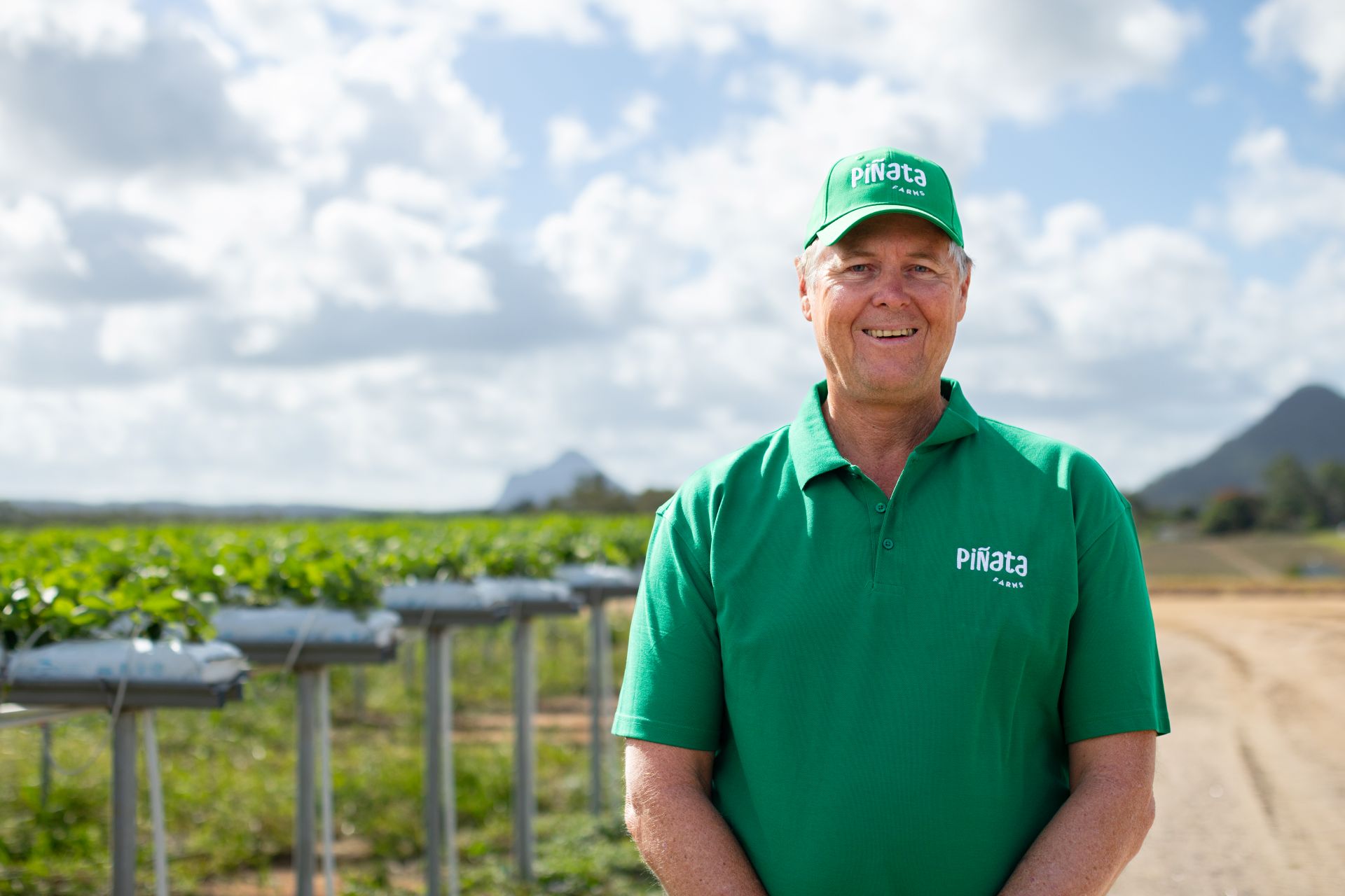 Pinata Farms team member on farm connected to Wamuran Irrigation Scheme