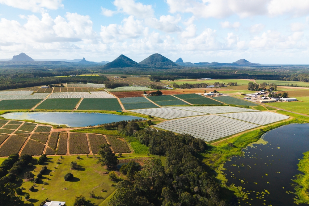Aerial photo of farmland in Moreton Bay