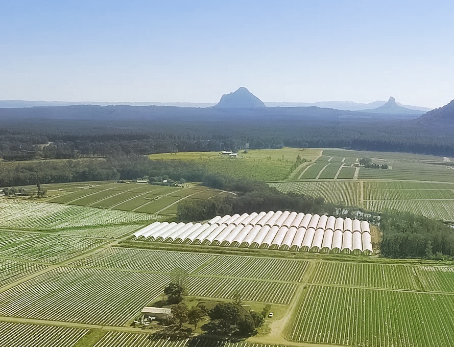 Wamuran Irrigation Scheme