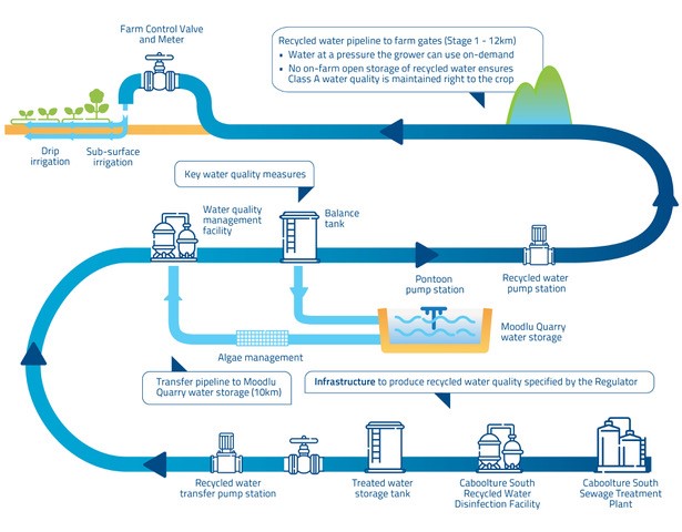 WIS process infographic
