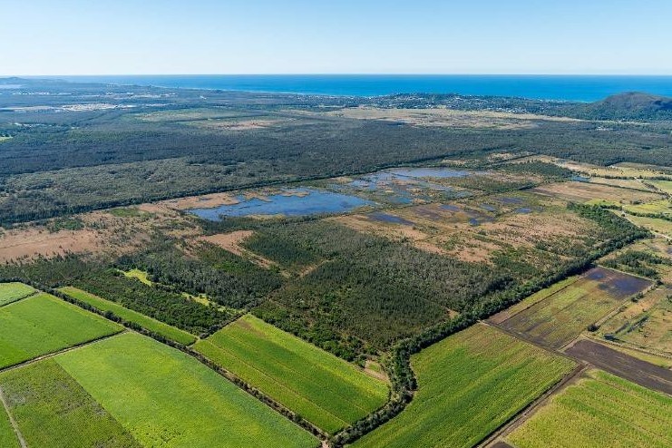 Yandina Creek Wetland