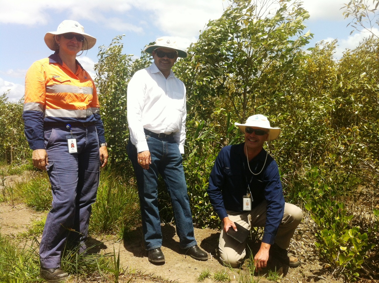 Yandina Creek Wetland