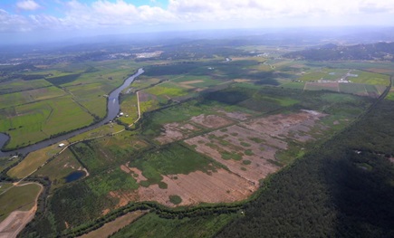 Yandina Creek Wetland