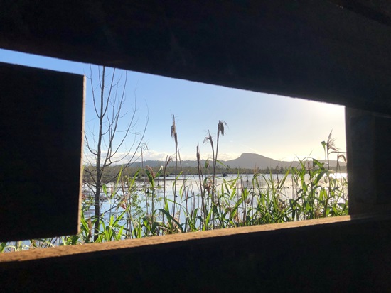 Yandina Creek Wetland Trail Walk and Bird Hide 1