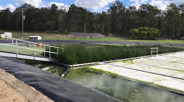 Kenilworth sewage treatment plant , floating wetland and solar panels