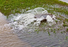 Overflowing sewer manhole