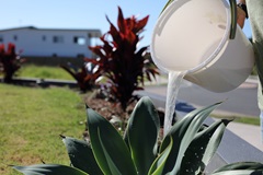 Pouring leftover dirty water into garden