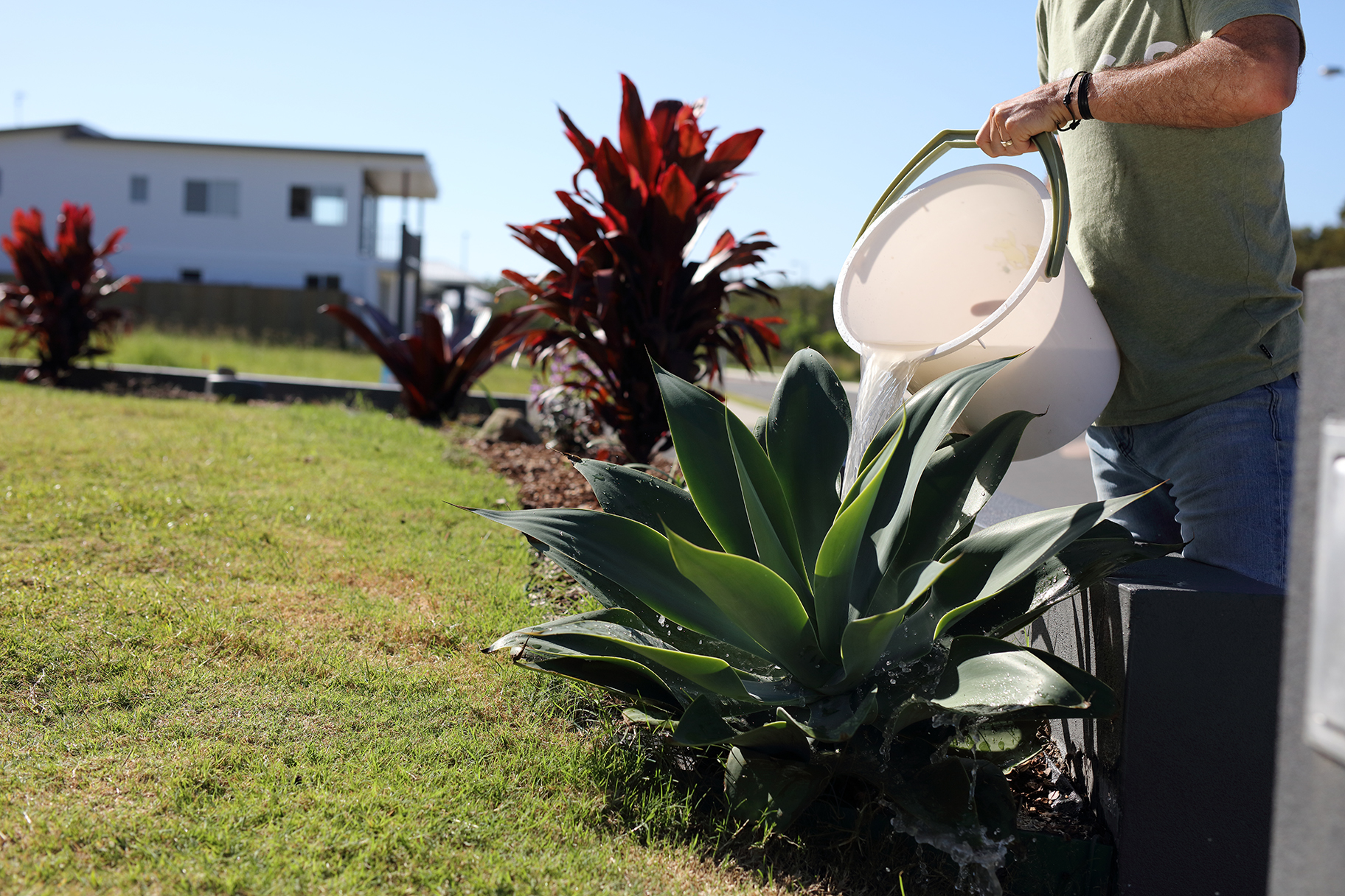 Pouring leftover dirty water into garden