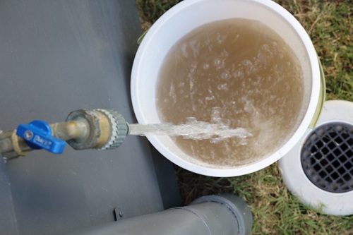 Dirty water running from tap into a bucket to clear pipes