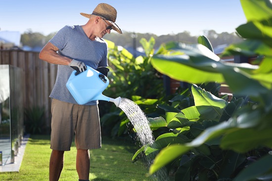 Man watering garden in residential garden