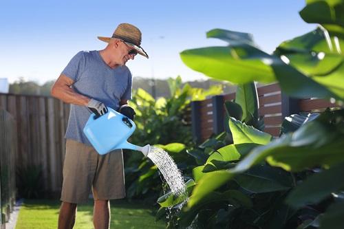 Man watering garden in residential garden